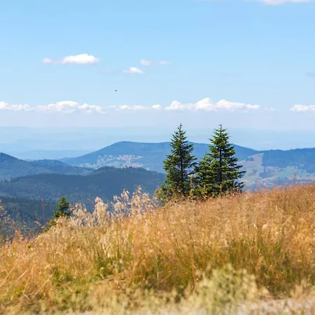 Apartment Haus Panoramablick - Alpenblick, *