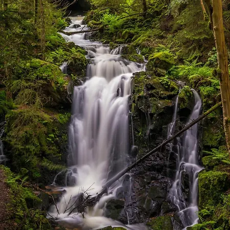 Haus Panoramablick - Alpenblick, Apartment