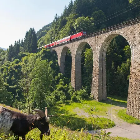 Haus Panoramablick - Alpenblick, Apartment Höchenschwand